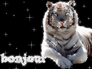 Bonjour � tous! tiens �� remarche!